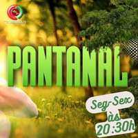 seg-sex-20-30h-pantanal